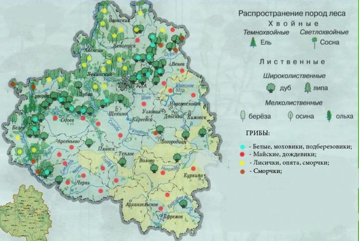 Грибные места в Тульской области