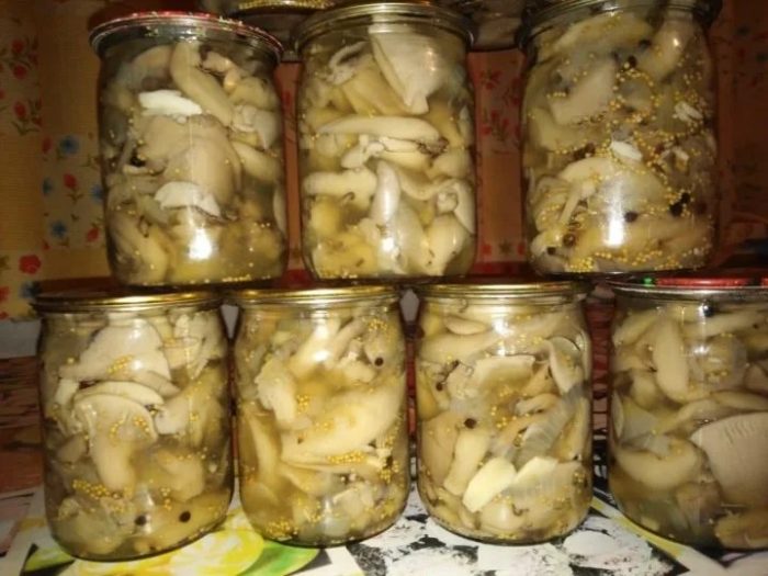 Можно ли мариновать грибы зонтики на зиму