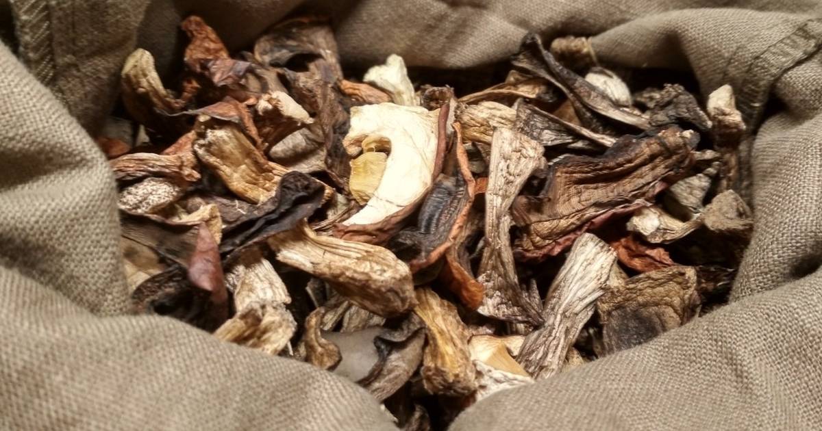 Сушеные грибы - пошаговый рецепт с фото. Рецепт от Виктории. - Кухонный коврик