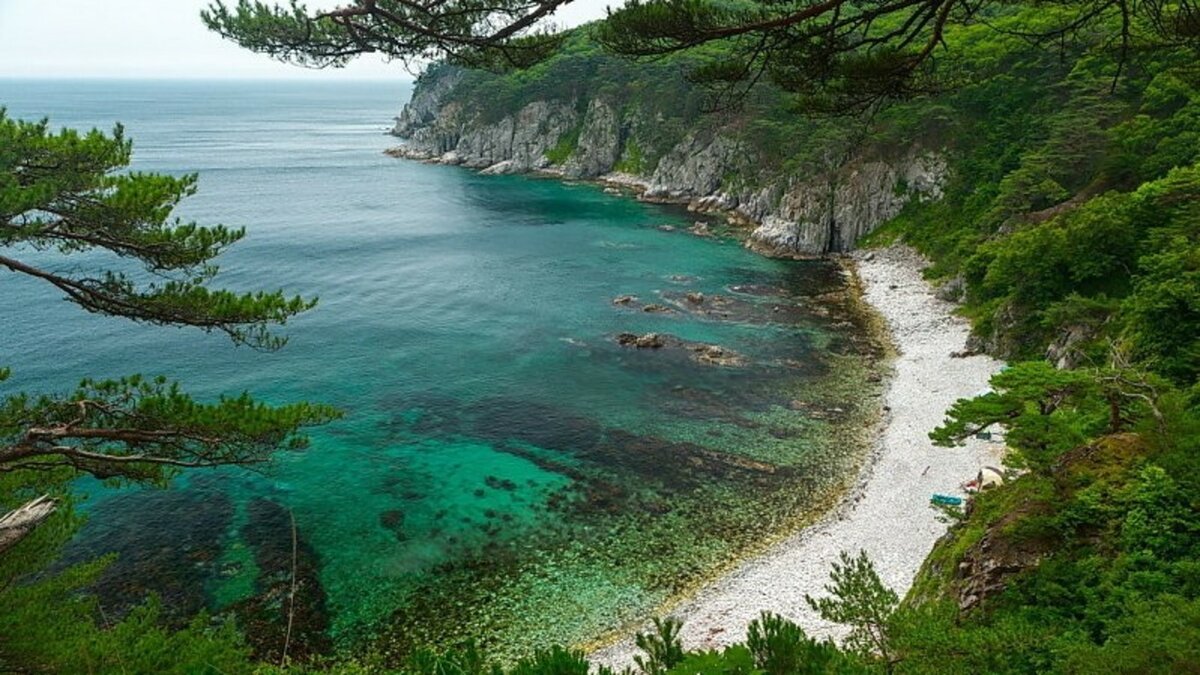 Природа Приморского края - фото и изображения: 63 шт