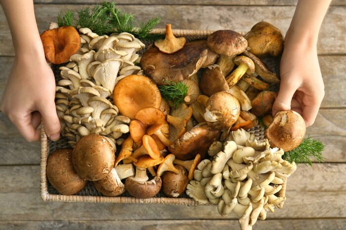 Умный способ придать вешенкам и шампиньонам вкус настоящих лесных грибов