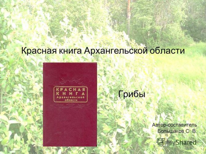 Грибные места Архангельска