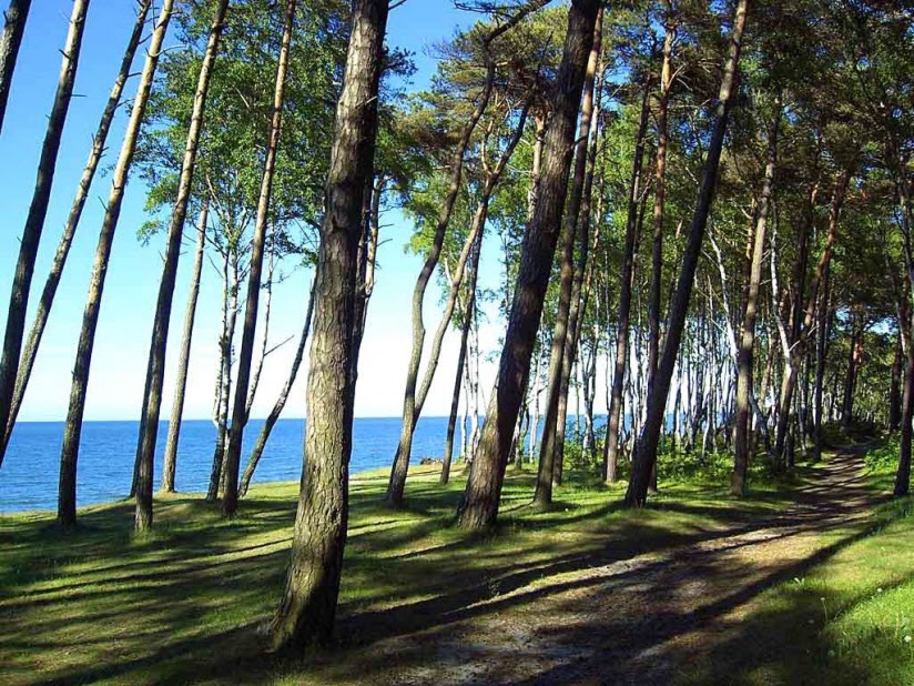50 достопримечательностей Калининградской области: 2022: фото и описание - Tour-Ray.Ru