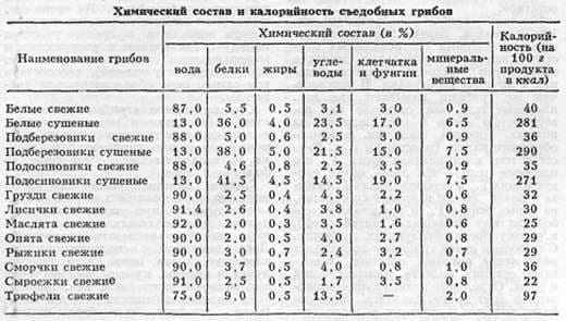 Съедобные и ядовитые грибы Ставрополя
