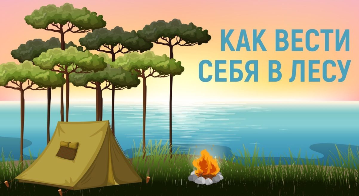 Как вести себя в лесу? « Академия цифровых технологий