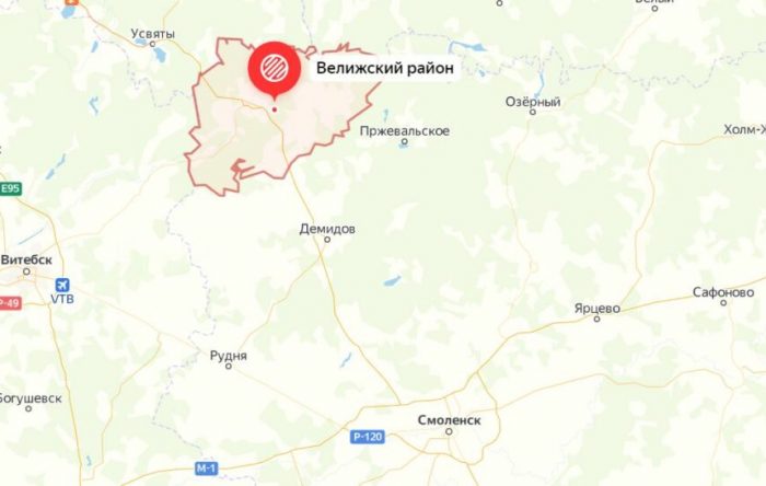 Где в Смоленске собирают грибы