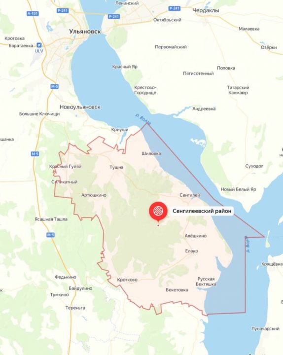Есть ли грибы в Ульяновской области