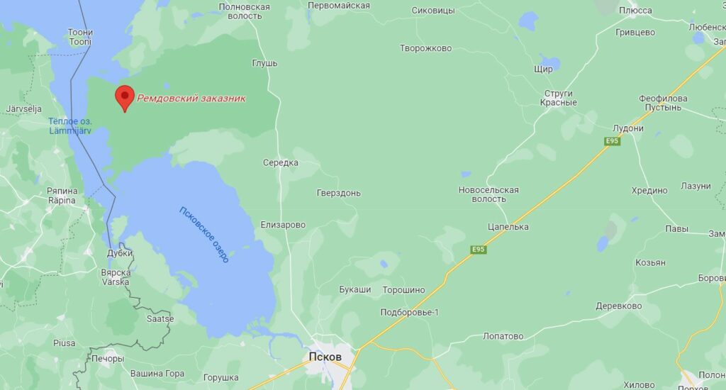 Грибные места Псковской области