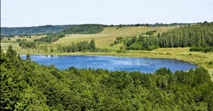 Грибные места Псковской области