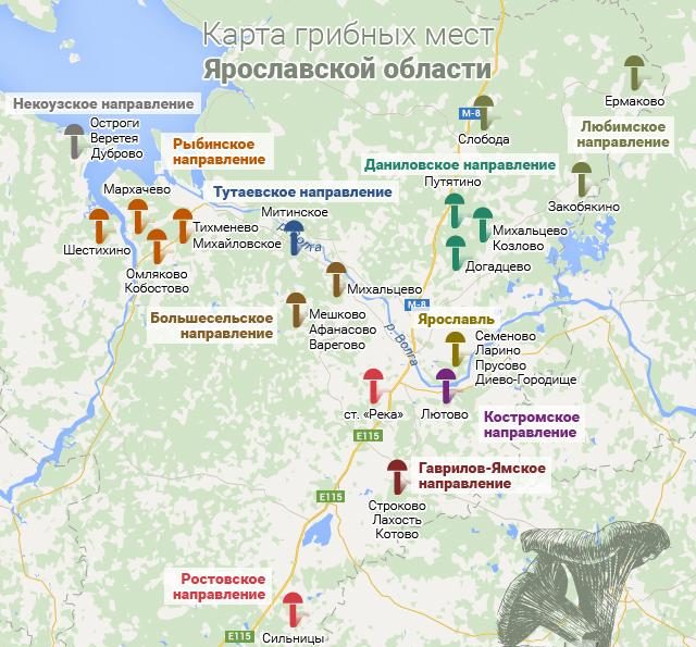 Грибная карта