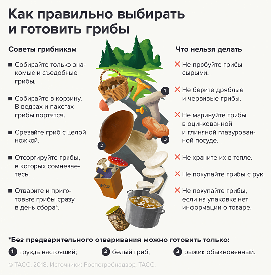 Советы грибникам