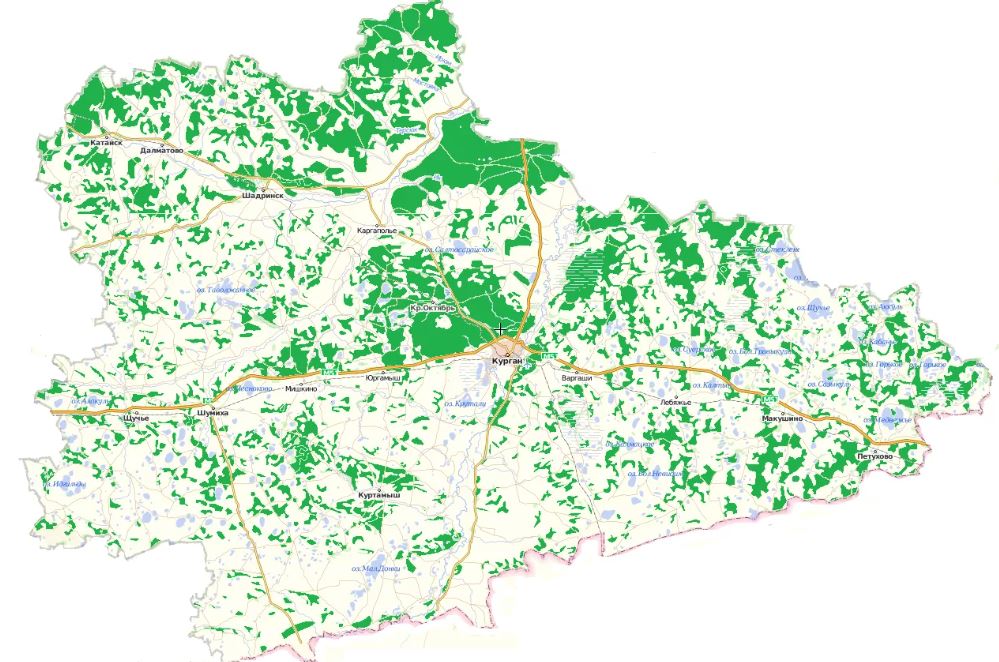 Где пошли грибы в Кургане