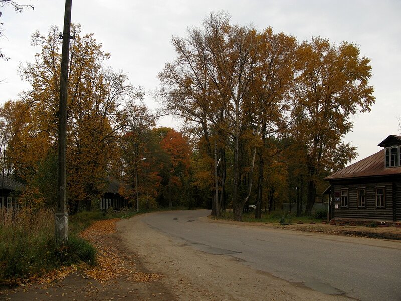 Грибные места в Тверской области