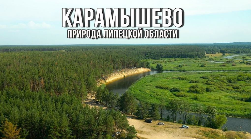 Какие грибы собирают в Липецкой области