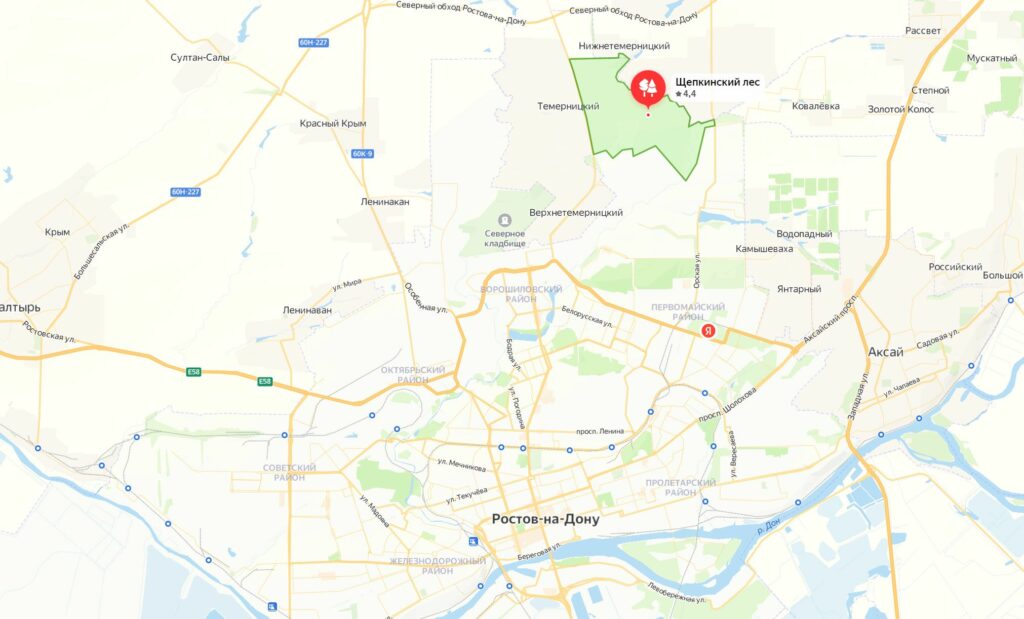 Грибные места в Ростовской области