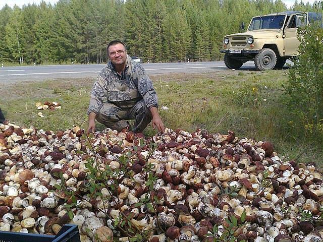 Создать мем