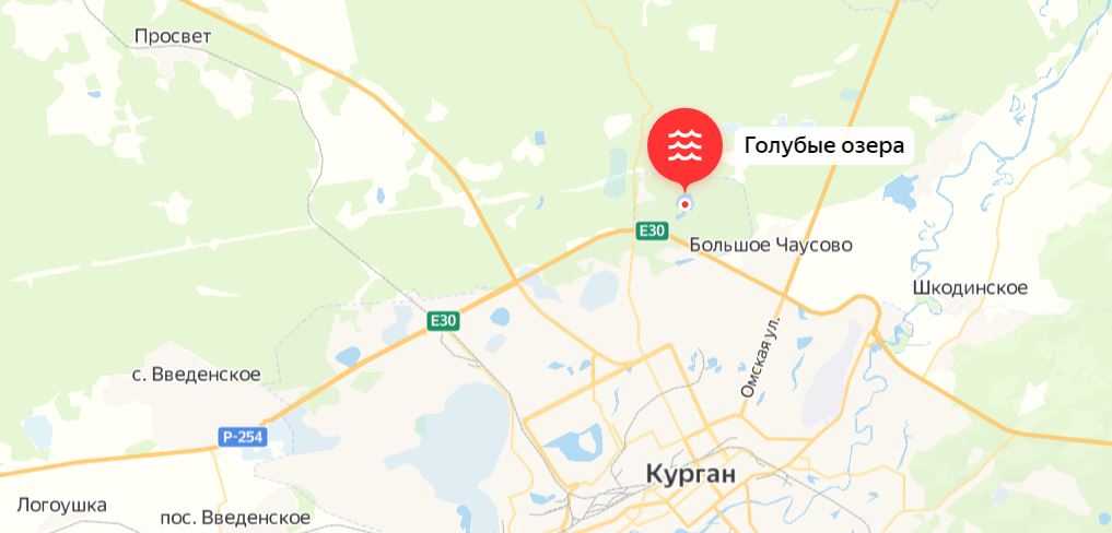 Где пошли грибы в Кургане