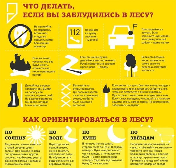 Если заблудился в лесу: что делать, правила и примечания