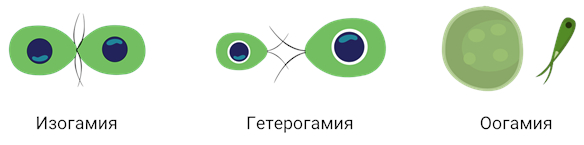 dce46ca1809a51f615f7942998fa06c9