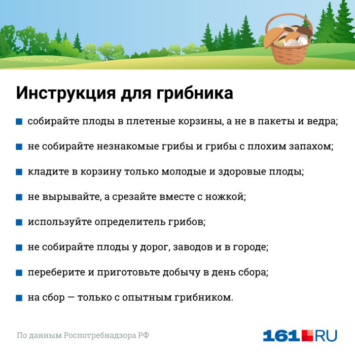 Грибные места в Ростовской области