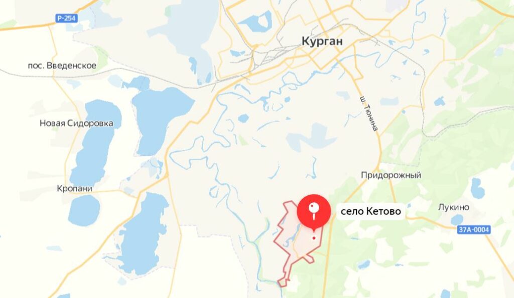 Где пошли грибы в Кургане