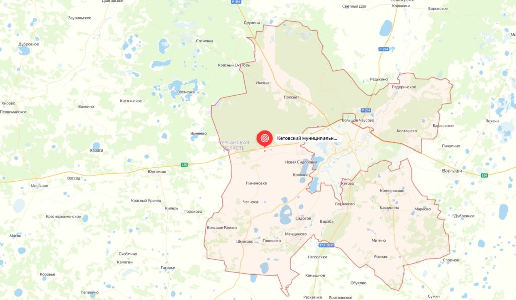 Где пошли грибы в Кургане