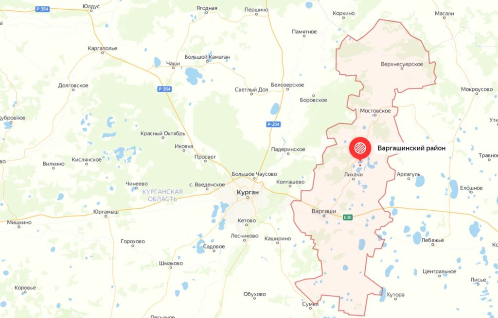 Где пошли грибы в Кургане