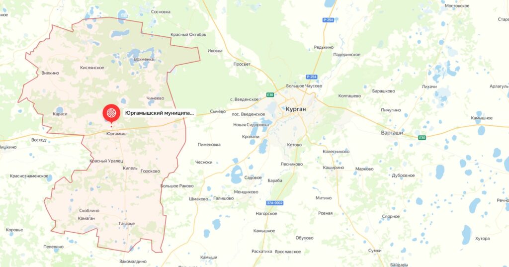 Где пошли грибы в Кургане