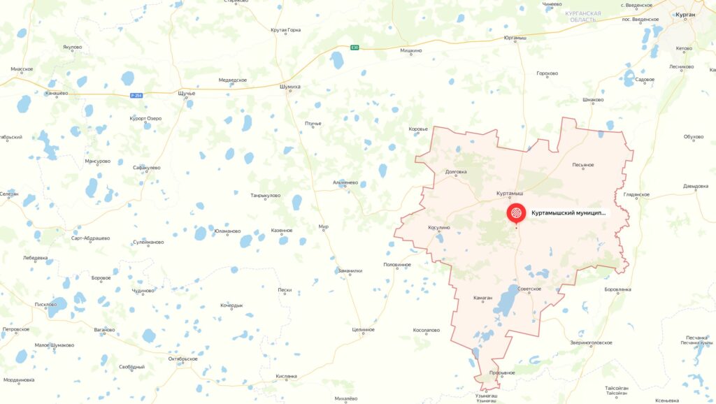 Где пошли грибы в Кургане