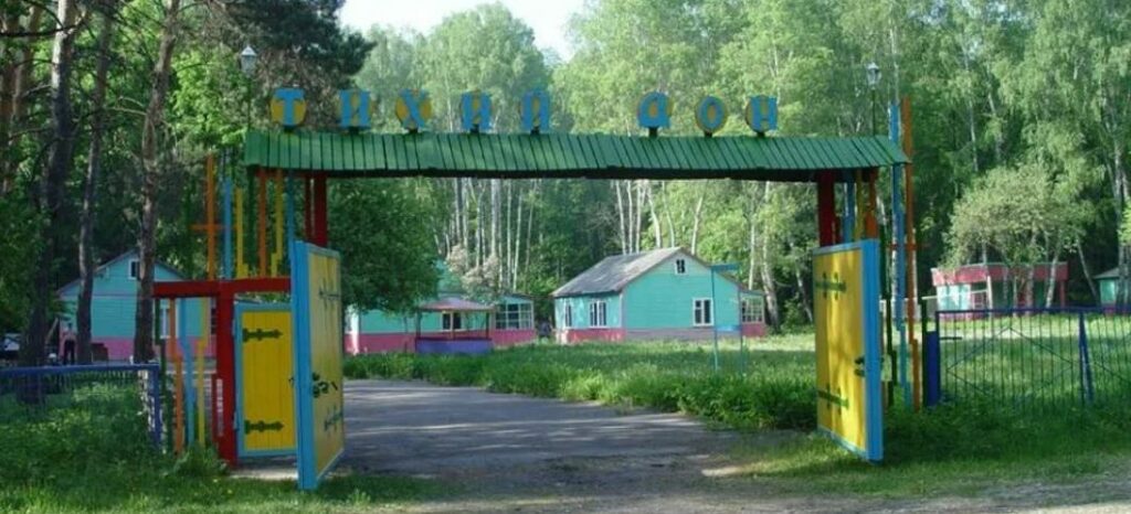 Какие грибы собирают в Липецкой области