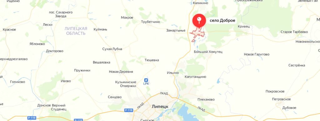 Какие грибы собирают в Липецкой области