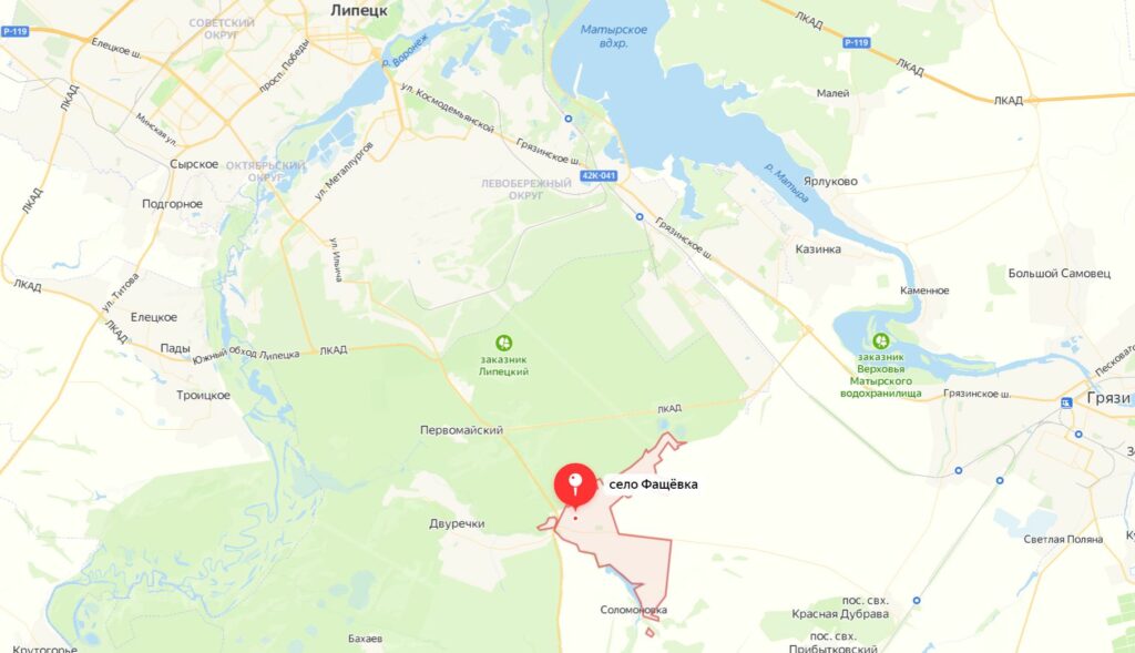 Какие грибы собирают в Липецкой области