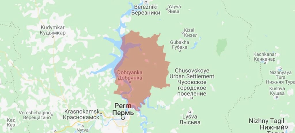 Грибы Пермского края